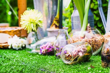 Ev dekorasyon fikir, terrarium bahçe sahne açık bir şişe