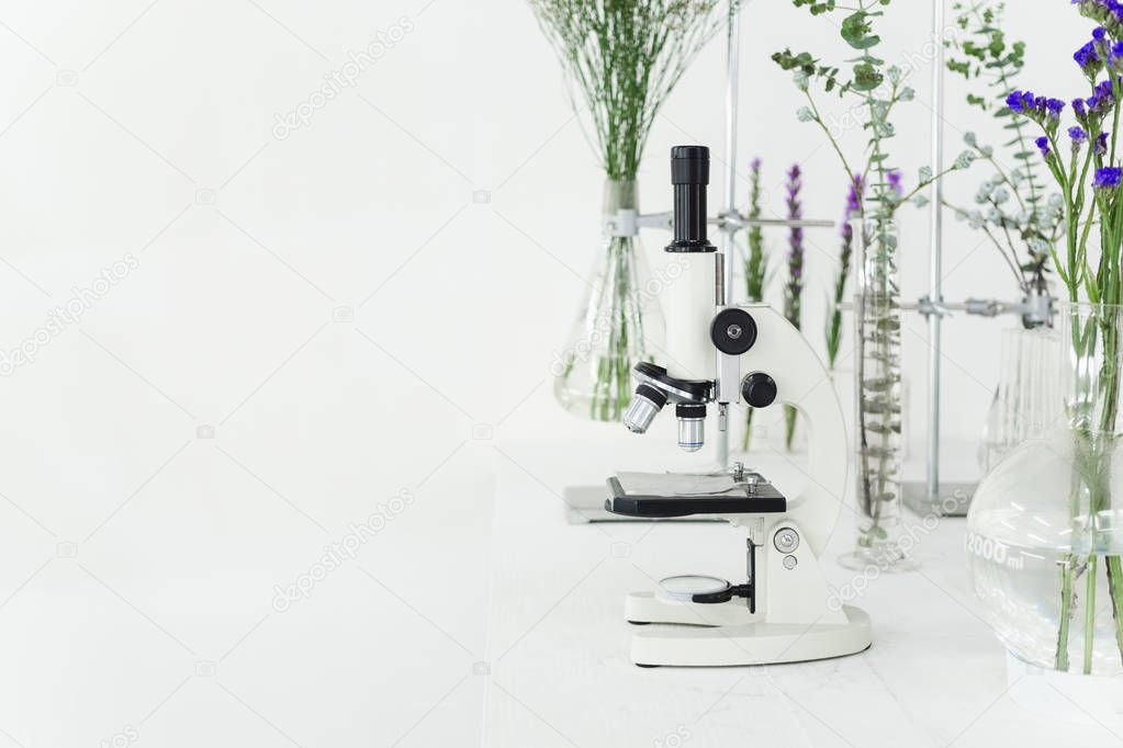 Green plants and scientific equipment in biology laborotary. Mic