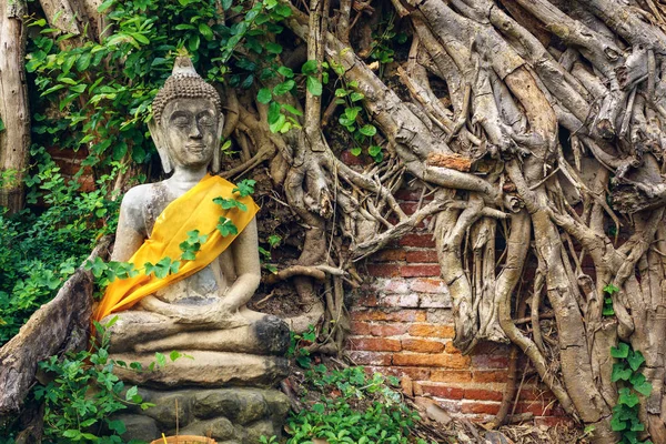 Ağaç kökleri ve tuğla duvar arka plan ile antik Buddha Statue — Stok fotoğraf
