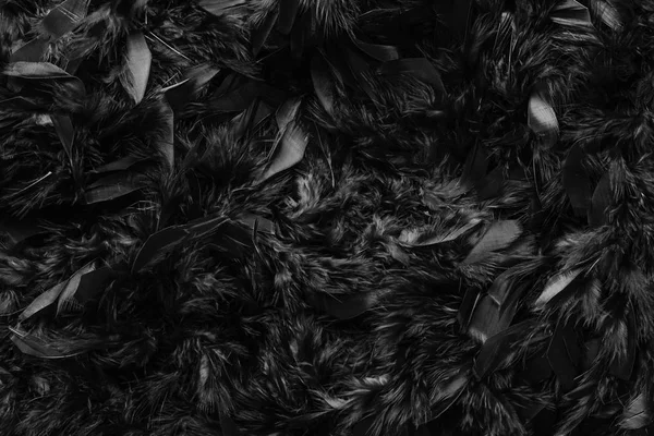 koyu siyah tüy yün doku arka plan yakın çekim,