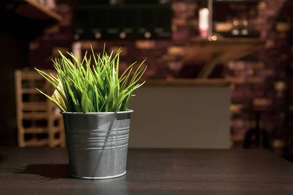 Маленькие искусственные зеленые растения в цветочных вазах из цинка металла — стоковое фото