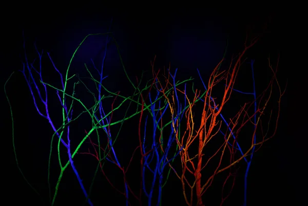 Neon Glow Akril Uv Blacklight Festék a faágon, fényvisszaverő — Stock Fotó