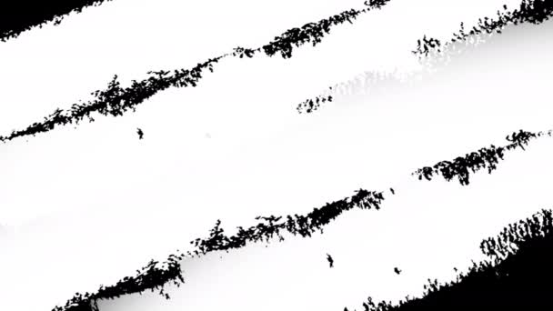 抽象的なペイントチョークストローク黒と白の遷移の背景 ペイントスプラッシュのアニメーション 写真やビデオの背景を明らかにするためのブラシストローク黒と白の遷移の背景 — ストック動画