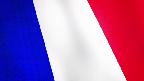 France Flag Waving Flag Animation Background Realistic France Flag Waving — Stock Video