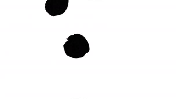 抽象的な水ドロップ黒と白の遷移ルママットモーショングラフィックス マスク トランジション フェード マットの遷移 明らかに — ストック動画