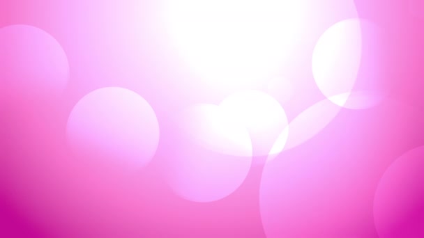 ホワイトボケOnピンクパープルカラフルな動きの背景 大きなぼやけたボケが背景を照らす アブストラクトサークル背景アニメーションソフト集光赤外光漏れ色ライト — ストック動画