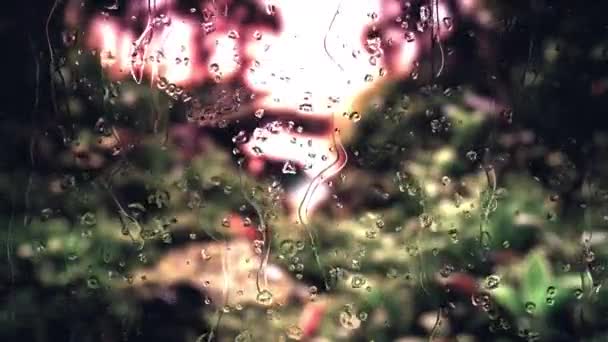 Gotas Lluvia Ventana Con Bosque Borroso Bokeh Sol Brillando Fondo — Vídeo de stock