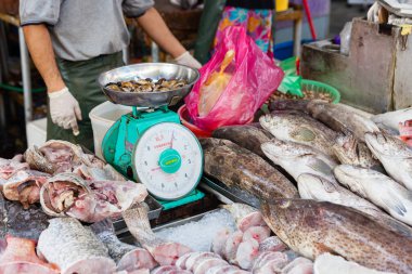 Adam, ıslak pazar taze balık satıyor