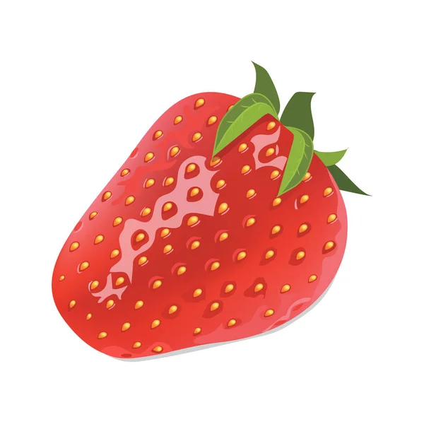 Ρεαλιστική απεικόνιση φράουλα — Διανυσματικό Αρχείο