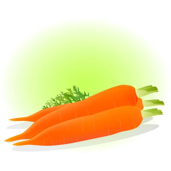 Векторная иллюстрация моркови — стоковый вектор