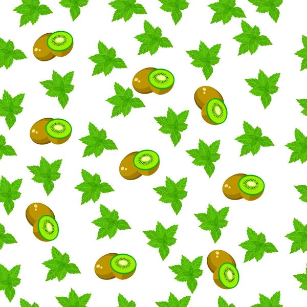 Kiwi fresco y rebanada — Vector de stock