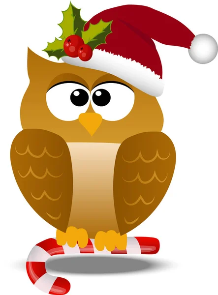 Рождественская сова в шляпе Санты — стоковый вектор