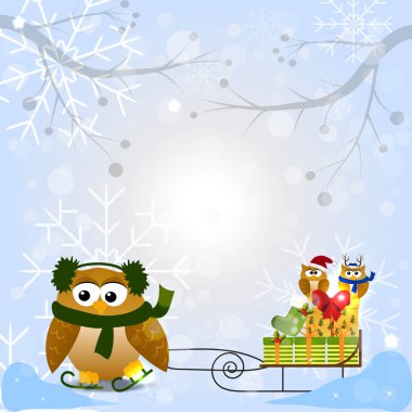 Noel Baba şapkası Noel baykuş