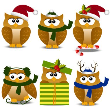 Noel Baba şapkası Noel baykuş