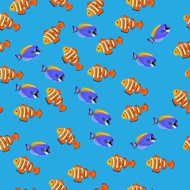 toz mavi tang balığı