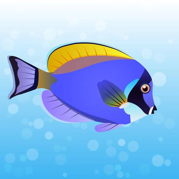 Poeder blue tang vis — Stockvector