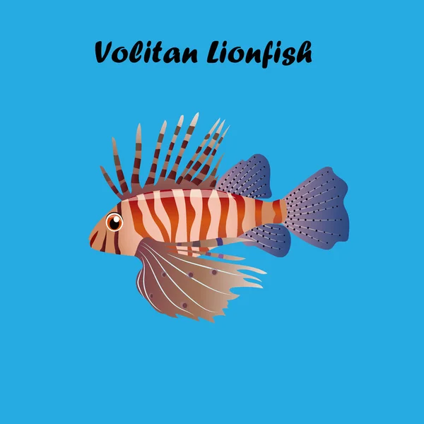 Ilustración de Volitan Lionfish — Vector de stock