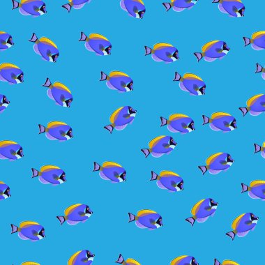 toz mavi tang balığı