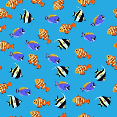 Mağribi Idol balık gösterimi