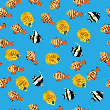 Mağribi Idol balık gösterimi