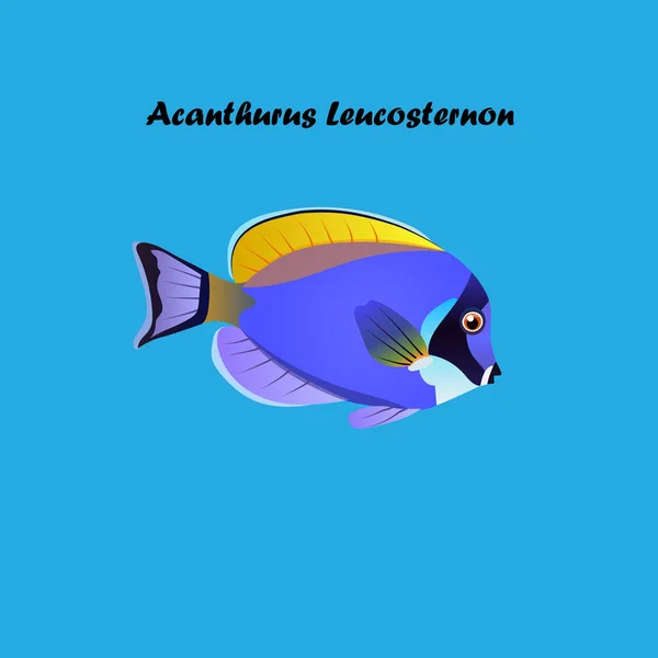 Polvo azul espiga pescado — Vector de stock