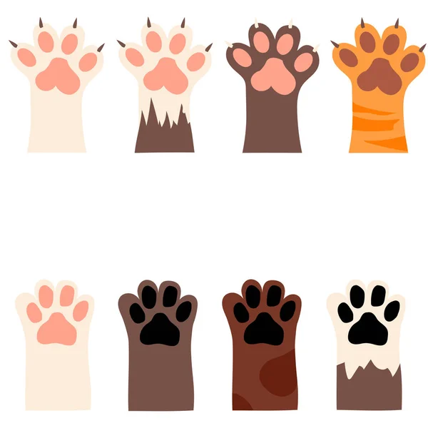Cat and dog paw print with claws — Stock Vector