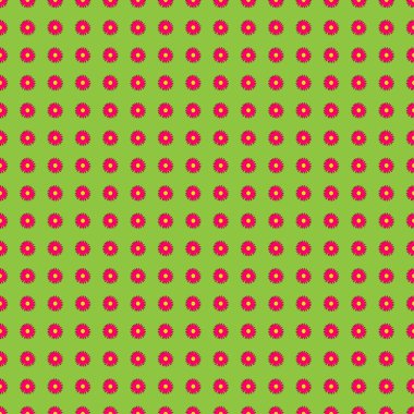 Chamomiles veya papatya