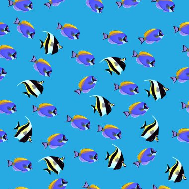 Mağribi Idol balık gösterimi