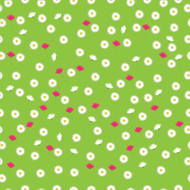 Chamomiles veya papatya