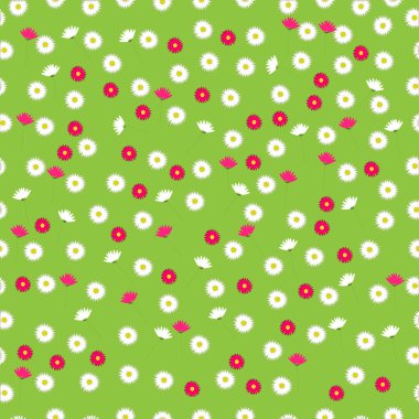 Chamomiles veya papatya