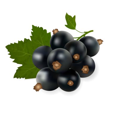 meyve Siyah frenk üzümü