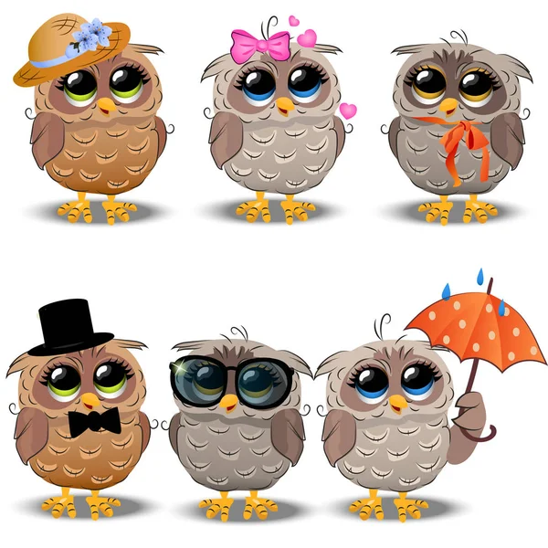 Cute owl in a hat — Stock Vector