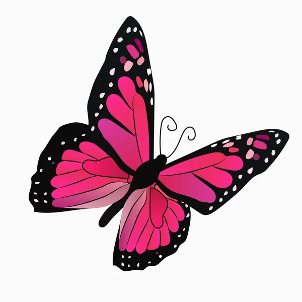 Ilustración de una mariposa colorida — Archivo Imágenes Vectoriales