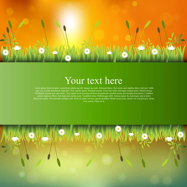 Banner met gras en bloemen — Stockvector