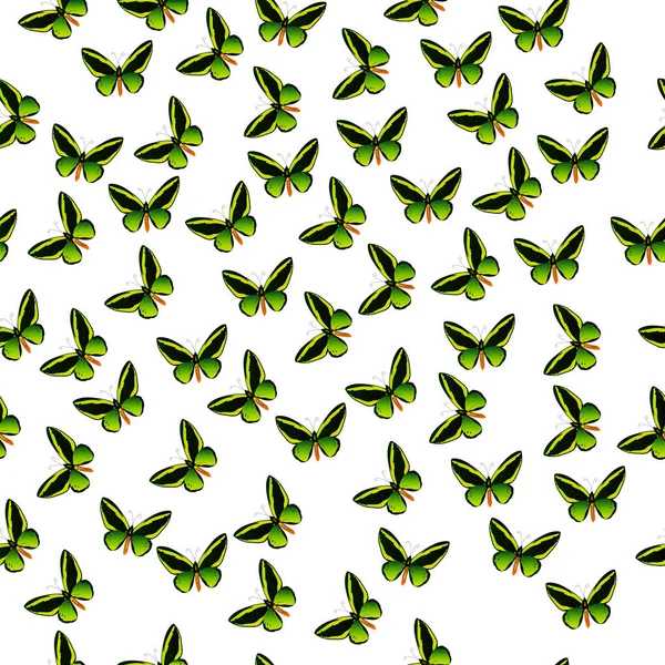 カラフルな蝶のイラスト — ストックベクタ
