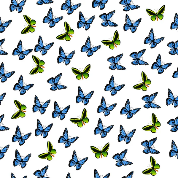 renkli kelebek çizimi