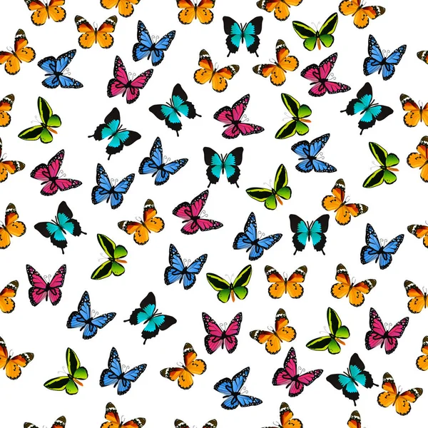 Illustration d'un papillon coloré — Image vectorielle