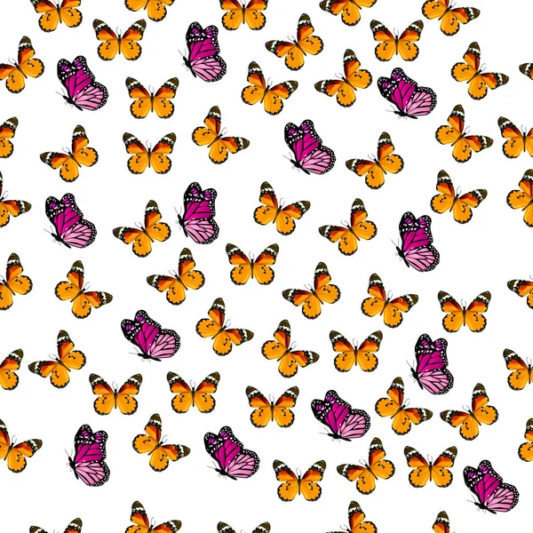 Illustration d'un papillon coloré — Image vectorielle