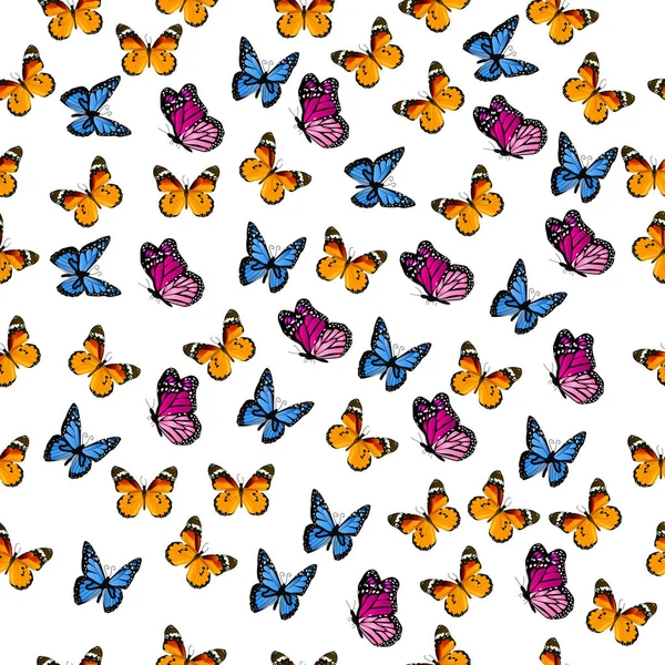 Illustration d'un papillon coloré — Image vectorielle