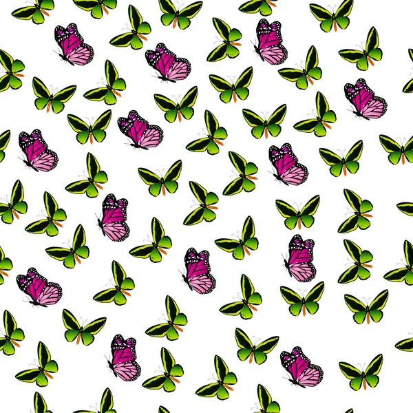 Illustrazione di una farfalla colorata — Vettoriale Stock