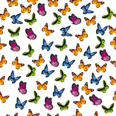 renkli kelebek çizimi