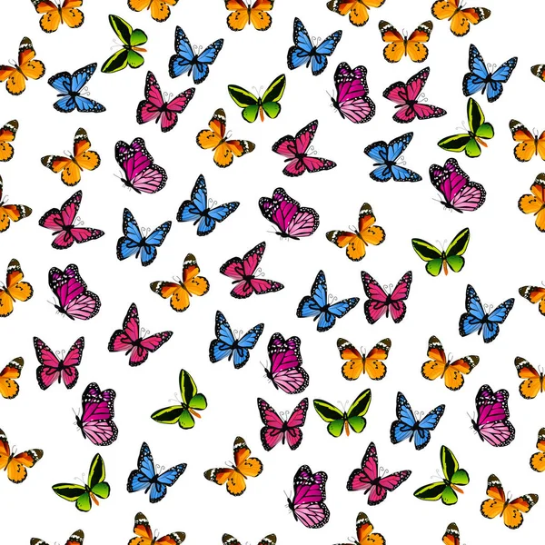 Illustration d'un papillon coloré — Image vectorielle