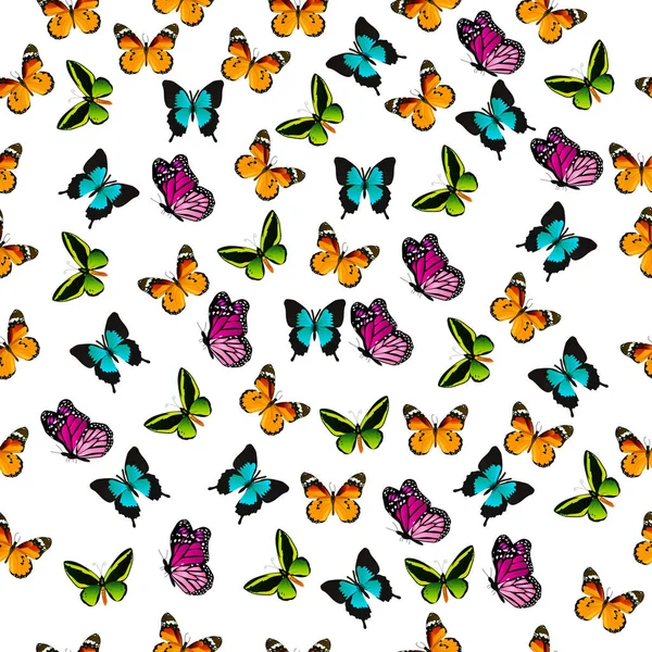 Illustrazione di una farfalla colorata — Vettoriale Stock