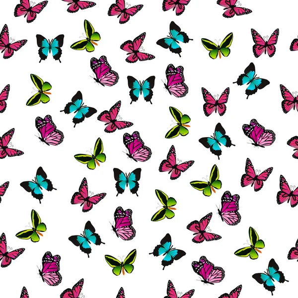 色彩鲜艳的蝴蝶的插图 — 图库矢量图片
