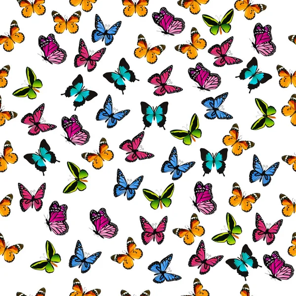 Illustration d'un papillon coloré — Image vectorielle