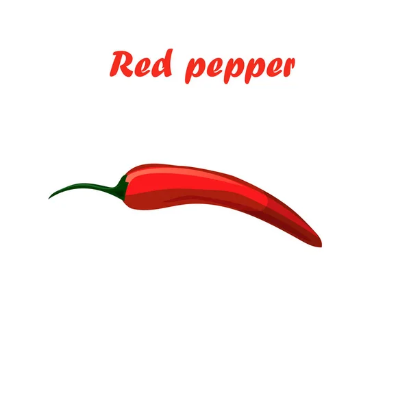 Pimiento rojo — Vector de stock