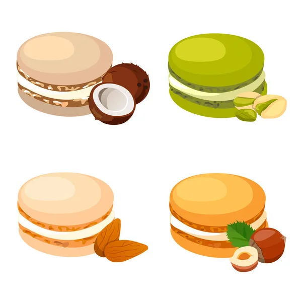 Tasty macaroon cookie — Stock Vector