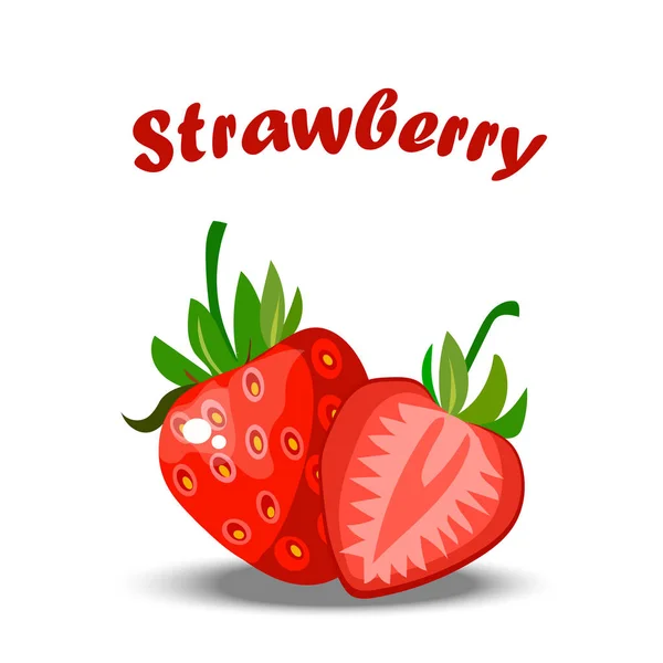 वास्तविक स्ट्रॉबेरी पूरे और एक टुकड़ा — स्टॉक वेक्टर