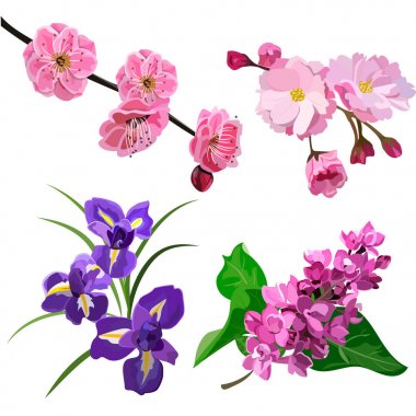 set bahar çiçekleri