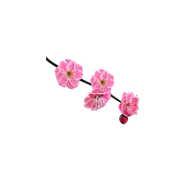 赤い桜の花 — ストックベクタ